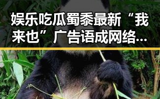娱乐吃瓜蜀黍最新“我来也”广告语成网络焦点