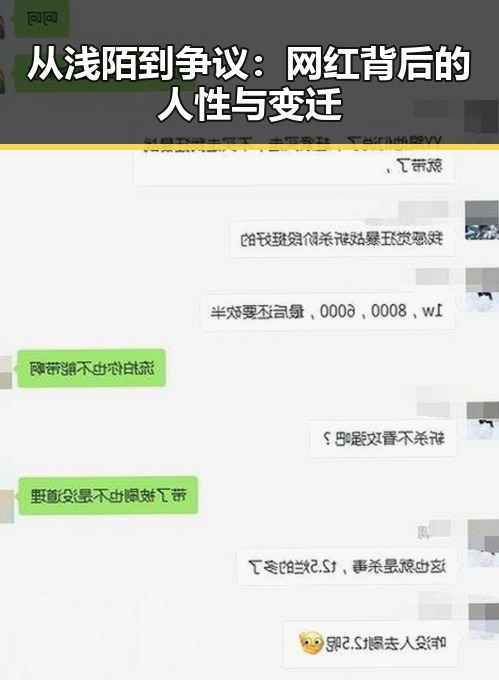 从浅陌到争议：网红背后的人性与变迁